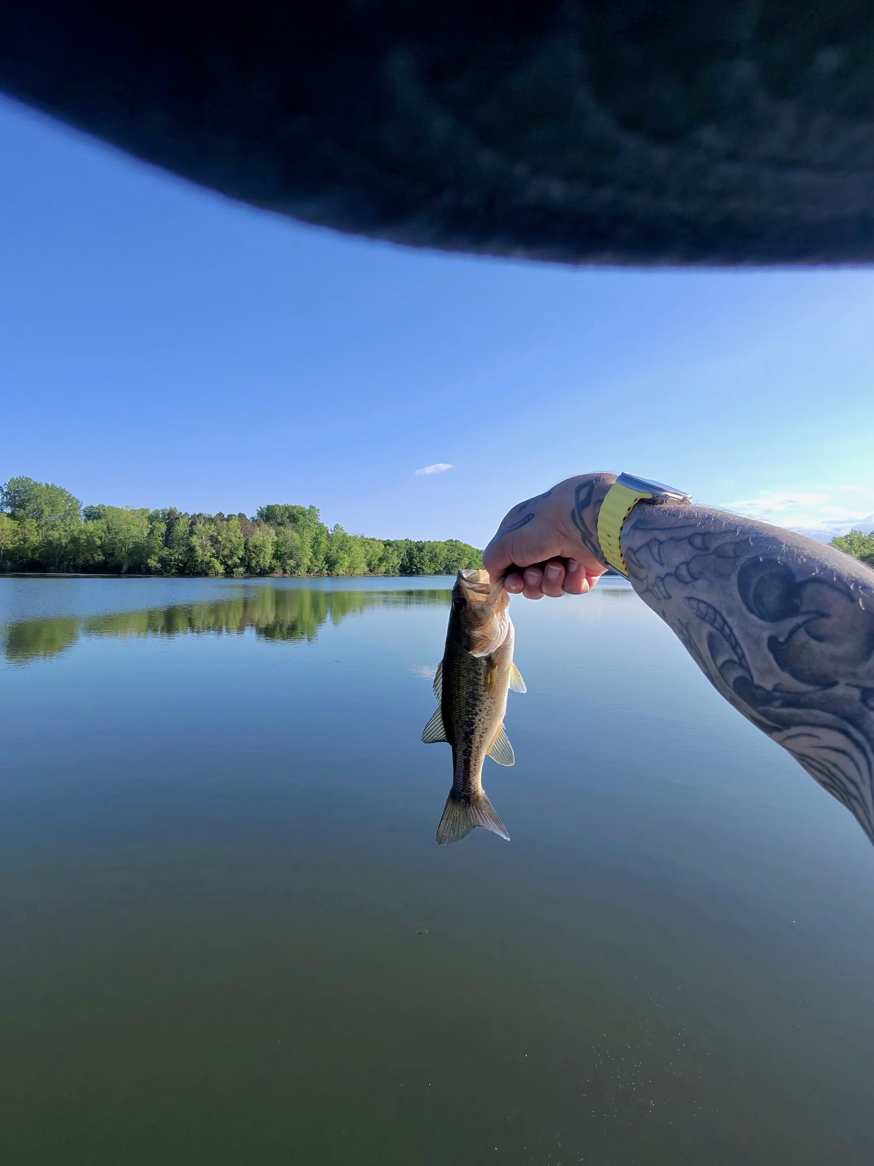 The Lactic-Acid Clock: The Biochemistry Behind Every Bass Fight — and How to Release Fish That Live