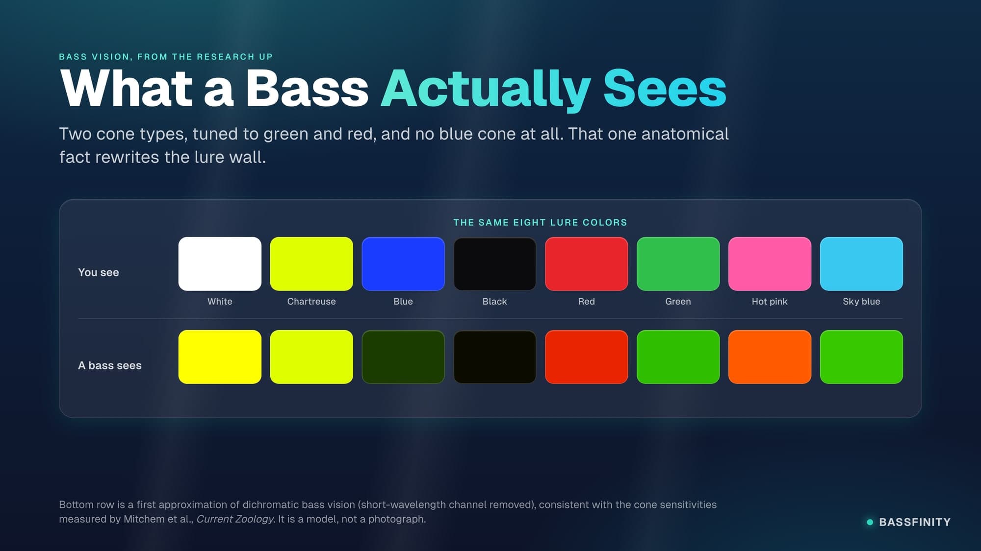 Lure Color: What a Bass Can Actually See