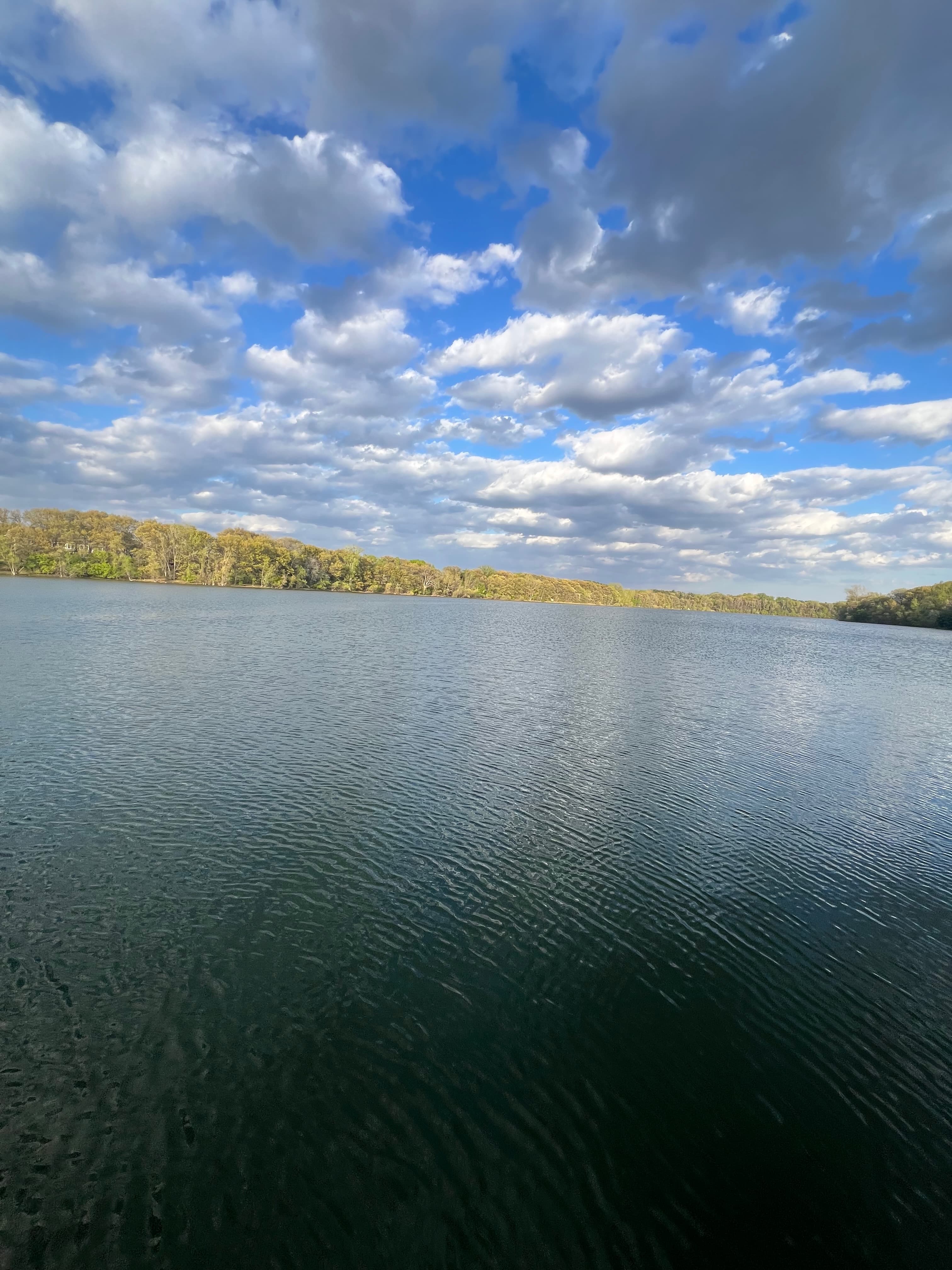 Match the Hatch: Why May and June Bass Are Won by What's Actually Swimming in Your Lake