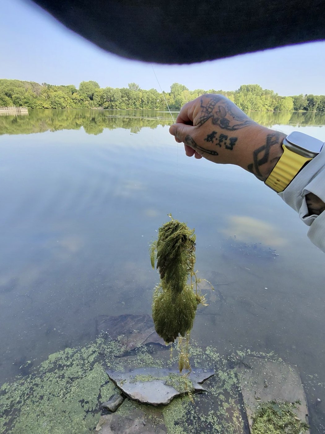 A tangled wad of vegetation and algae wrapped on fishing line, dripping over the water