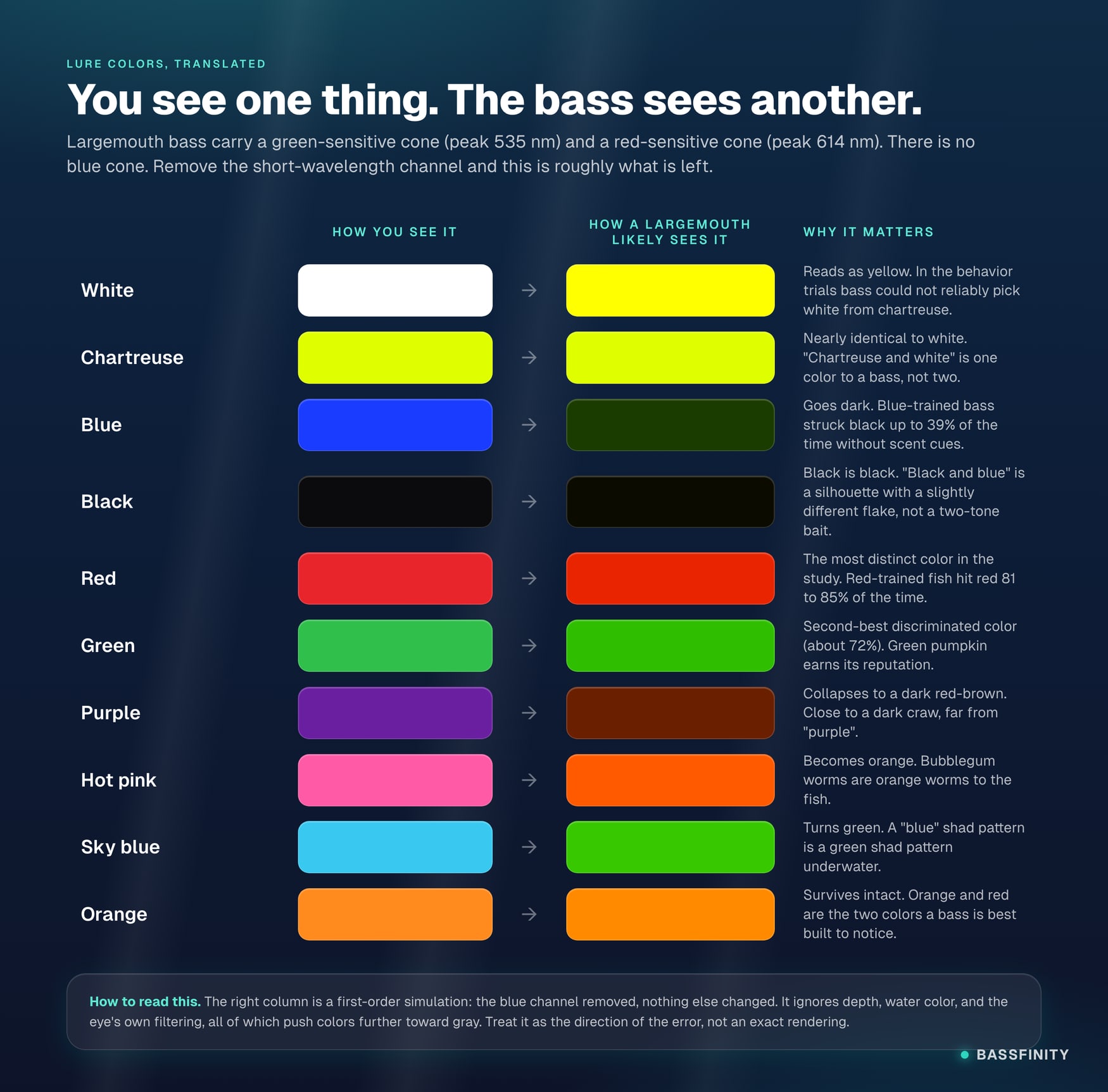 A two-column chart translating ten common lure colors from how a human sees them to how a largemouth bass likely sees them: white becomes yellow, chartreuse stays nearly the same, blue goes near-black, purple collapses to dark red-brown, hot pink becomes orange, sky blue becomes green