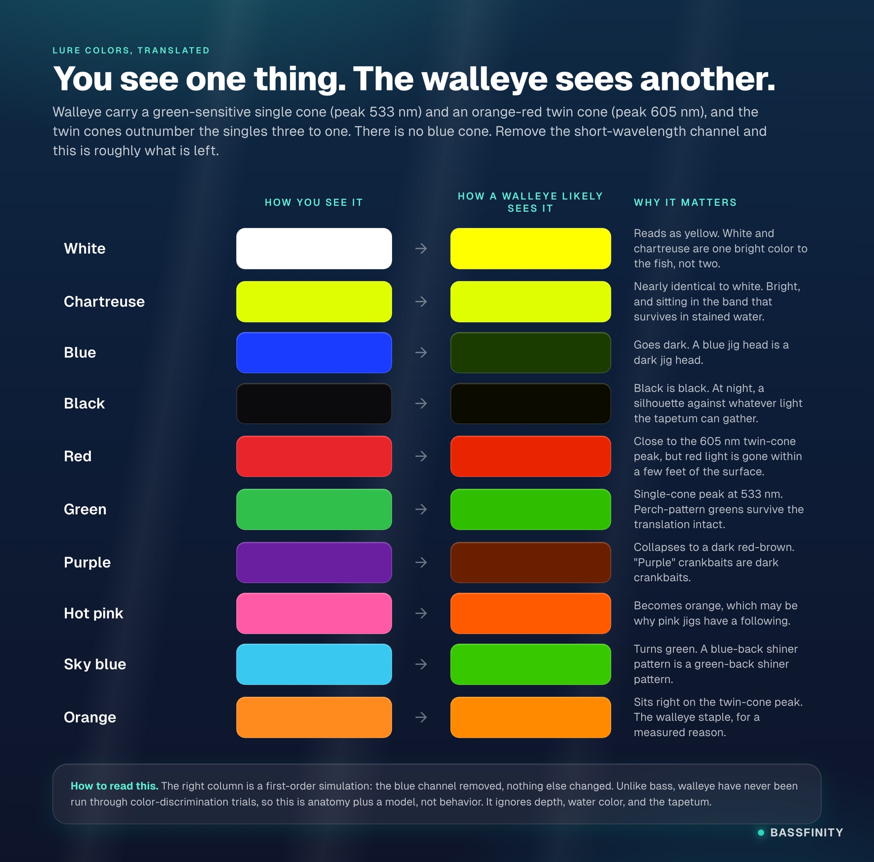 Ten common lure colors translated from human vision to a two-cone walleye approximation: white becomes yellow, chartreuse stays, blue goes near-black, purple becomes dark red-brown, hot pink becomes orange, sky blue becomes green, orange sits on the twin-cone peak